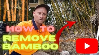 HOW TO REMOVE BAMBOO ROOTS FROM THE GROUND [upl. by Xonk]