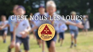 Cest nous les loups  Chant Scout [upl. by Alberik]