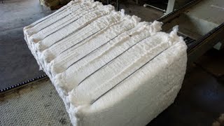 How Cotton Is Ginned  Georgia Cotton [upl. by Nelyag]