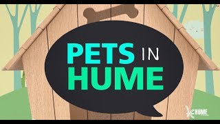 Pets in Hume  Choosing the right dog for you [upl. by Assiruam]