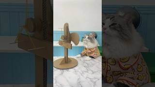 🌀 Will this fan keep spinning Watch Puffs latest experiment to find out 🌬️ PuffTheScientist [upl. by Ovatsug965]