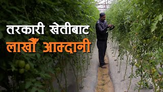 तरकारी खेतीबाट लाखौ आम्दानी krishi agriculture kisan [upl. by Phyllys]