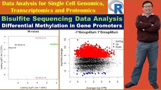 Bisulfite Sequencing Data Analysis Differential Methylation in Gene Promoters [upl. by Tom119]