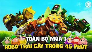 Siêu Tuổi Thơ  Toàn Bộ Nội Dung Robo Trái Cây Mùa 1  Ten Tun  Ten Anime [upl. by Sid]