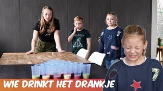 Pong spel  Familie Meerschaert Challenge [upl. by Dnarud884]