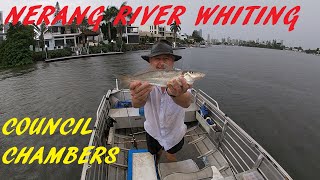 NERANG RIVER FISHING 24TH FEB 2024 [upl. by Leonora]