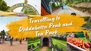 Exploring Doddabetta Peak A Mustsee Destination [upl. by Tnahs]