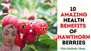 How to make Hawthorn Berry Syrup [upl. by Annawik]