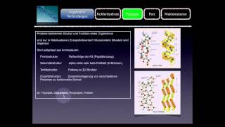 Basiskurs BiochemieChemie Proteine Teil 810 [upl. by Polk]