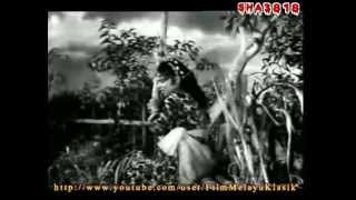 Lanchang Kuning 1962  Full Movie [upl. by Emeline]