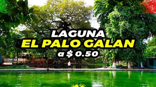 USULUTAN EL SALVADOR Laguna EL PALO GALAN 🏖️ [upl. by Stanly913]