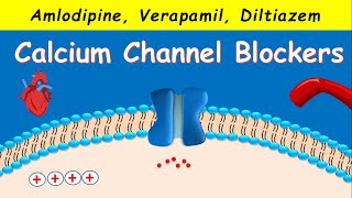 Calcium Channel Blockers  Amlodipine Verapamil Diltiazem [upl. by Donelson]