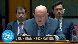 Full Russia Vetoes Security Council Resolution Meant to Monitor UN Sanctions in DPR Korea [upl. by Oniliuqnart612]