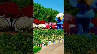 Beautiful natural flowers gardens🌺💐 natureflowers naturalflowerytshtsyoutubebeautifulflowers [upl. by Ettezzil]