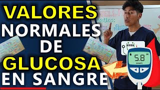 VALORES NORMALES DE GLUCOSA EN SANGRE  GuiaMed [upl. by Nhor]