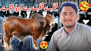 Qatry Qatry Se Darya Banta Hai 🥰  New Vlog  Hassan Awan  Punjabi Des [upl. by Adora]