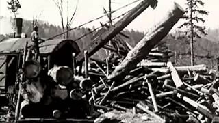 1920s United States Forest Service Film When the Trees Talk  CharlieDeanArchives [upl. by Omrellig]