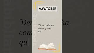 Reflexão AWTOZER 📚🙌💯 [upl. by Dulcie]