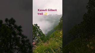 Gilbert nature trail kasauli 🏵️ beautiful place😍flowers 🌹🏵️☘️Hills stationshortsvideo viralvideo [upl. by Kcira]