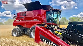 Case IH 9250 AxialFlow Combine Harvesting Wheat [upl. by Naimerej]