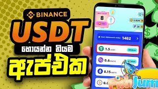 Binance walletඑකට USDT හොයන්න පුලුවන් නියම ඇප් එකක්  Earn money online E money sinhala [upl. by Ettenirt]