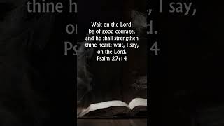 Psalm 2714 KJV Audio Bible  Wait on the Lord be of good courage and He shall strengthen your heart [upl. by Sutit]