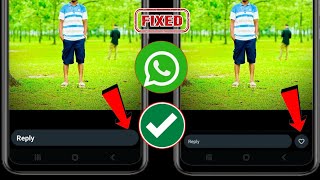 How To Fix WhatsApp Status Like Button Option Not Showing  New Update 2024 [upl. by Aynik]