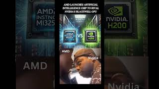 AMD vs Nvidia  for AI [upl. by Acim]