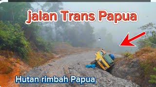 Provinsi Papua Ke provinsi Papua pegunungan jalan trans papua jayapura wamena 2024 [upl. by Nimajnab996]