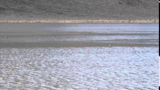 Sailing Stones of Death Valley Seen in Action  Video [upl. by Aileek841]