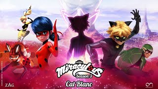 Miraculous in Hindi🐞Tales of Ladybug and Cat Noir🐞 [upl. by Pell]