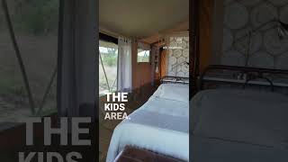 Glamping in the Serengetis MOBILE Safari Camp  A Luxe Adventure under African Skies [upl. by Ellett]