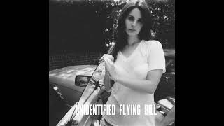 Lana Del Rey Ft BarrieJames  Unidentified Flying Bill [upl. by Enecnarf]