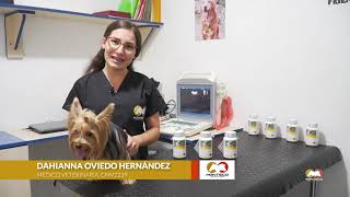 Los expertos recomiendan Canitabs® Omega3  DHA amp EPA para tu perro [upl. by Nutter]