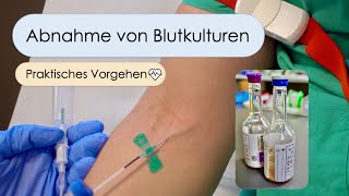 Blutkulturen abnehmen  Schritt für Schritt Blutkulturen beimpfen Tipps und Tricks [upl. by Eilrahc]