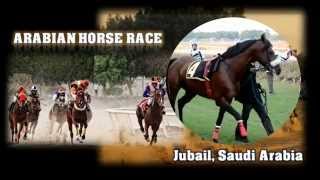 Arabian Horse Race  Jubail Saudi Arabia [upl. by Roy795]