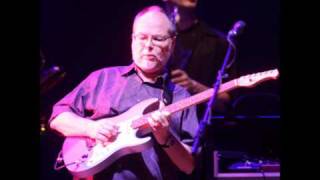 Walter Becker  Down in The Bottom [upl. by Ttehr]