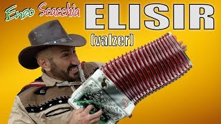 ELISIR valzer ENZO SCACCHIA CAMPIONE DEL MONDO DI ORGANETTO [upl. by Atinod415]