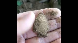 10192024 pulled a stick out of a pile of topsoil and an arrowhead came out with it [upl. by Naryt347]