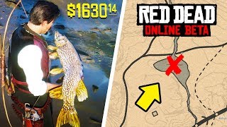 This EXPENSIVE FISH Pond in RED DEAD ONLINE Will Make You RICH FAST  RDR2 Online Fast amp Easy Money [upl. by Temirf]