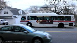 NICE Bus N20  N21  N23 Bus at Main St amp Old Northern Blvd Orion 5 amp 7 CNG [upl. by Olraced]