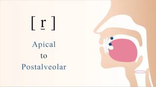 r̠  voiced apical postalveolar trill [upl. by Nadean926]