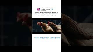 Comercial MercedesBenz galinhas estabilidade 🐔🐓metodoviral criadorviral [upl. by Ymor]