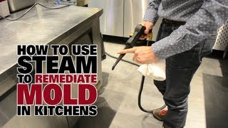 How to Use Steam to Remediate Mold in Kitchens  Dupray Steam Cleaners [upl. by Anual]