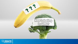 Story Behind GMO Labeling  GMO Food Good or Bad [upl. by Riordan495]