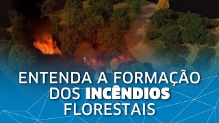 Entenda como são formados os incêndios florestais [upl. by Eivla]