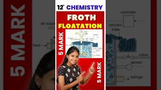 12th Chemistry Froth Flotation 5mark Quarterly Important Questions 2024 quarterlyexam [upl. by Attenat]