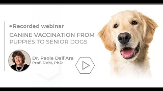 SP Biogal Academy  Dr Paola DallquotAra Canine Vaccination from Puppies to Senior Dogs [upl. by Mellman]