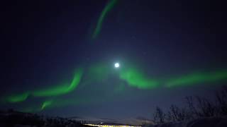 Exploding Aurora during Arctic Frontiers 2019 [upl. by Esirahc]