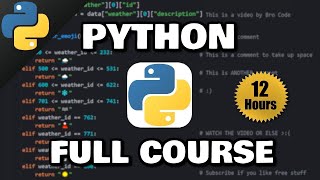 Python Full Course for free 🐍 2024 [upl. by Jobyna]